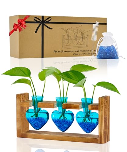 Yeomoo Pflanzen Vase Glas Schreibtisch Deko Flaschengarten - Vintage Vasen Glas Herzförmig Deko Pflanze Blumenvase Geschenke für Frauen Männer Mama Geburtstagsgeschenk Garten Deko Wohnzimmer Tischdeko von Yeomoo