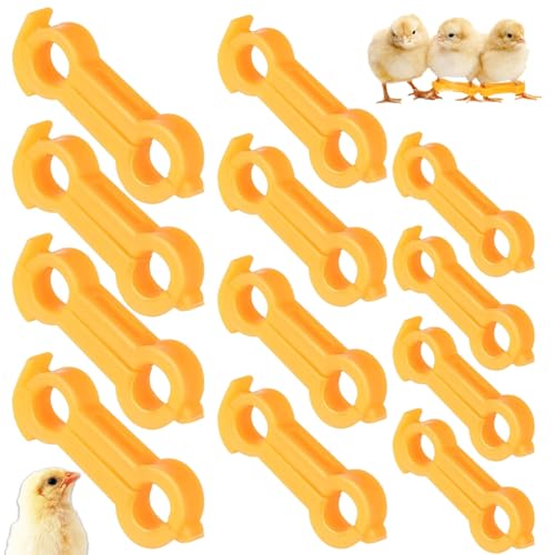 Küken Beine korrektur, 12 Stück Küken Beine bands, Beinbänder Für Küken, Spreizbein-Humpelbandage Für Küken, Küken beinbandage, Küken spreizbeinstütze, Für Küken, Wachteln, Enten von Yesmoyhe