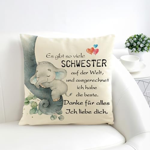 Yetuab Schwester Geschenk,Schwester Kissenbezug, Schwester,Sinnvolles Geschenk für Schwester,Beste Schwester Geschenke, Geburtstagsgeschenk für Schwester von Yetuab