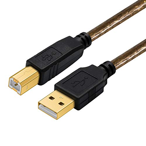 Yeung Qee Druckerkabel, 10 m, Hochgeschwindigkeits-USB-Druckerkabel, USB 2.0 Typ A männlich auf Typ B männlich, Drucker Scanner Kabel für HP, Canon, Lexmark, Dell, Xerox, Samsung etc. Yeung Qee Druckerkabel, 10 m, Hochgeschwindigkeits-USB-Druckerkabel, USB 2.0 Typ A männlich auf Typ B männlich, Drucker Scanner Kabel für HP, Canon, Lexmark, Dell, Xerox, Samsung etc. von Yeung Qee