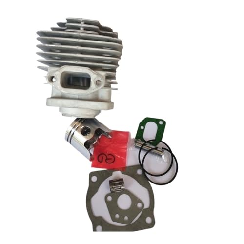40MM Zylinder KIT FIT for 1E40F-5 40F-5 40-5 2 HUB Pinsel Cutter Trimmer Auger Zylinder KOLBEN Ring Lager Dichtung Roller Montage von YfdUPLs