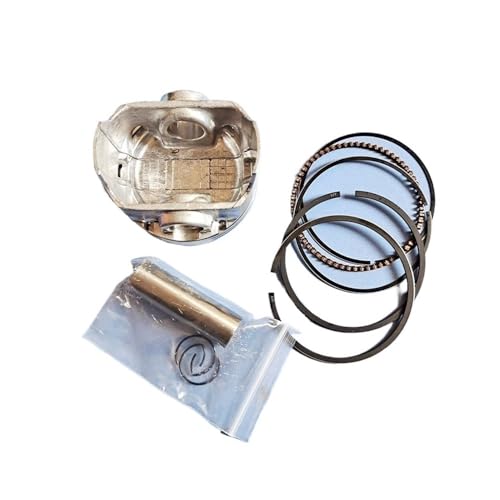 65mm Kolben Kit Fit for FJ180V FC180 WB536HK 179CC 4T 4-6,5 HP Rasenmäher Zylinder Ringe Pin Clips Montage(2 x Piston kit) von YfdUPLs