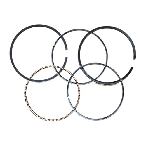 67mm Kolbenring passend for G200 GV200 EG1500 EG2200 ED1000 EM1800-2200 HS50 HR21-5 F FR500 WA WB30 ​​Motorwasserpumpe Ersatz(2 Sets) von YfdUPLs