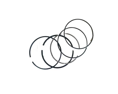 70mm Kolben Kit Fit for XT775 XT-775 170 173 Motor Motor Rasenmäher Zylinder Ring Pin Clip Assyfit(Only Piston Ring) von YfdUPLs