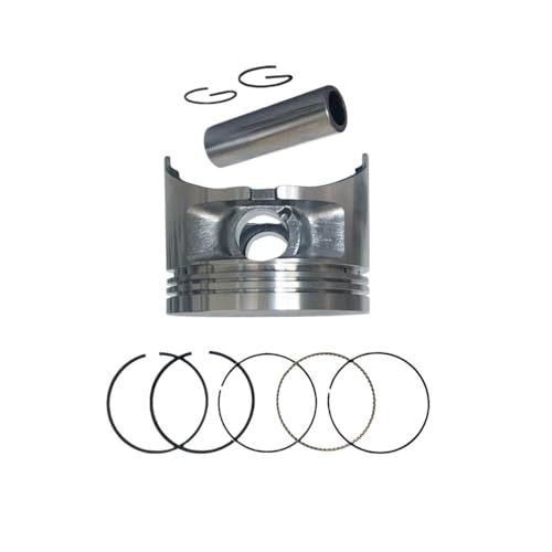 78mm Kolben Kit Fit for EF4600 MZ300 5KW Motor Generator Kolben Ringe Pin Clip Assy Ersatz 78mm Kolben Kit Fit for EF4600 MZ300 5KW Motor Generator Kolben Ringe Pin Clip Assy Ersatz von YfdUPLs