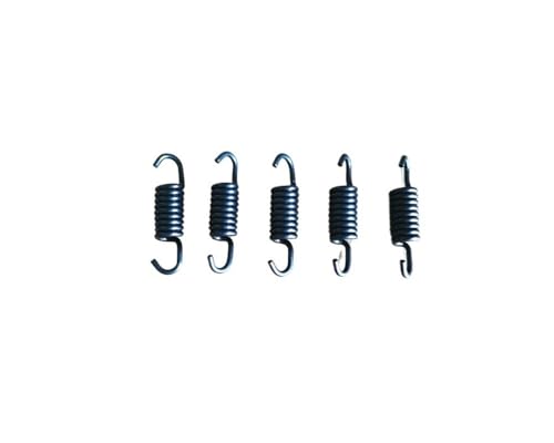 Kupplung 1 Feder for GX31 GX35 TL33 TL43 TL52 T180 T200 T240 Motor Trimmer Freischneider Ersatz(5 pcs spring) von YfdUPLs