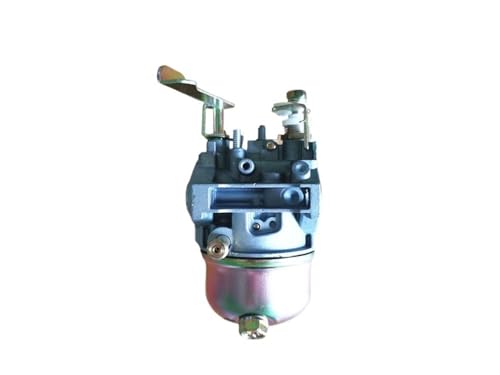 Vergaser Fit for DH12 LC165F-3H DK165F P 149CC 166CC Carbuettor Jumping Jack Tamper(Style B) von YfdUPLs