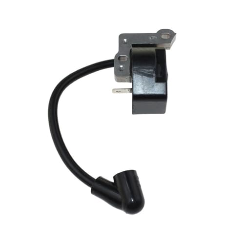 Zündmodul FIT for RBC30SBSA RBC30SESA BBL30MVA 5131000650 von YfdUPLs
