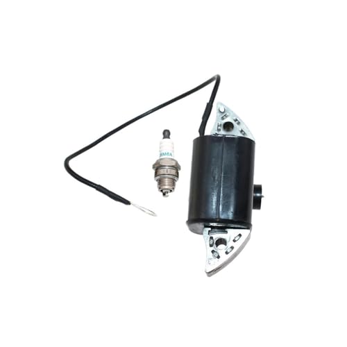 Zündspule PASSEND for 65 65L 77L 163S 180S 280S 380S 501435901 von YfdUPLs