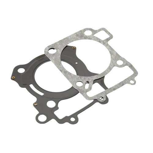 Kompatibel mit 200NS 200Rs Motorrad-Zylinderdichtungsgruppe oben JL521002 JL511022 Kompatibel mit 200NS 200Rs Motorrad-Zylinderdichtungsgruppe oben JL521002 JL511022 von YhFiaS