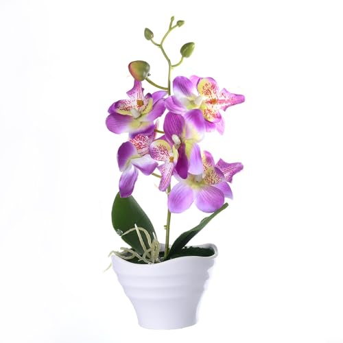 Realistischer Orchideen-Blumentopf aus Seide, perfekter floraler Akzent für moderne Heimdekoration (D) von Yhenlovtt