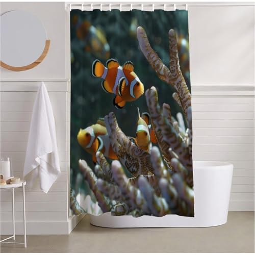 Duschvorhang Ozean Duschrollo für Badewanne 180 x 200 Duschvorhang Wasserdicht Beschwerter Saum, Shower Curtain Fisch Duschvorhänge Waschbar Polyester Stoff Badevorhänge für Badewanne Duscheh R2-502 von Yhoonn