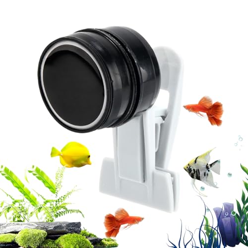 -Clip | -Futterclip mit magnetischen Aquarium-Funktionen | Veggie Feeder Clíp | Effizienter Fischtank-Futterspender Automatischer Futterhalter für Schildkröten Betta Wartung von Yhsioaklo