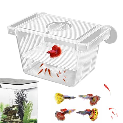 Fischzüchter Box | Kristall -Acrylzüchterbox für Aquarium | Gebratene, Guppie -Schluckkasten -Inkubator -Zuchtkoffer, Trennbox, Zucht, Aquariumzubehör, sicheres Design, das in der Wasse Fischzüchter Box | Kristall -Acrylzüchterbox für Aquarium | Gebratene, Guppie -Schluckkasten -Inkubator -Zuchtkoffer, Trennbox, Zucht, Aquariumzubehör, sicheres Design, das in der Wasse von Yhsioaklo