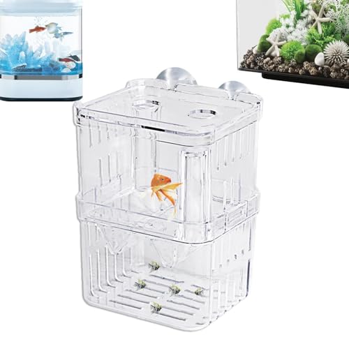 Fischzüchter Box | Kristall -Acrylzüchterbox für Aquarium | Gebratene, Guppie -Schluckkasten -Inkubator -Zuchtkoffer, Trennbox, Zucht, Aquariumzubehör, sicheres Design, das in der Wasse Fischzüchter Box | Kristall -Acrylzüchterbox für Aquarium | Gebratene, Guppie -Schluckkasten -Inkubator -Zuchtkoffer, Trennbox, Zucht, Aquariumzubehör, sicheres Design, das in der Wasse von Yhsioaklo