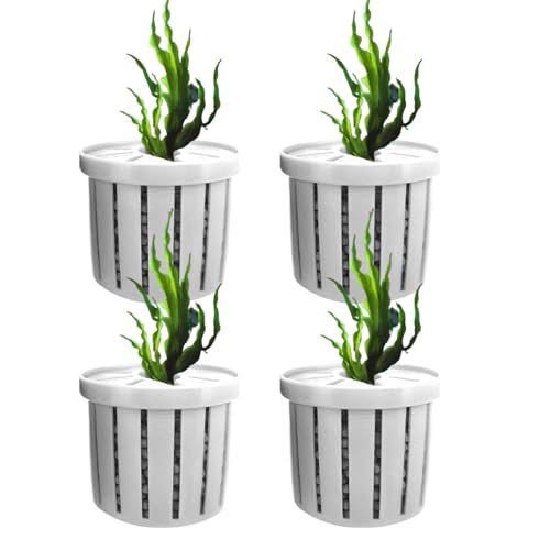 Yhsioaklo Aquarium Pflanzenhalter | Pflanzenbecher für Aquarien,Dekorativer Wasserpflanzen Halter, Wasserdékor Für Aquarien In Wohnung, Büro Und Restaurant Yhsioaklo Aquarium Pflanzenhalter | Pflanzenbecher für Aquarien,Dekorativer Wasserpflanzen Halter, Wasserdékor Für Aquarien In Wohnung, Büro Und Restaurant von Yhsioaklo