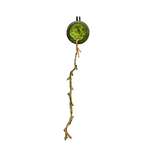 Yhsioaklo Spinnenkäfig aus Jersey, Klettergerüst mit realistischem Moschus, Unterstand für Centropiedi, Insekten, Gechi, Frogs, Grilli, Terrarium, natürlicher Lebensraum Yhsioaklo Spinnenkäfig aus Jersey, Klettergerüst mit realistischem Moschus, Unterstand für Centropiedi, Insekten, Gechi, Frogs, Grilli, Terrarium, natürlicher Lebensraum von Yhsioaklo