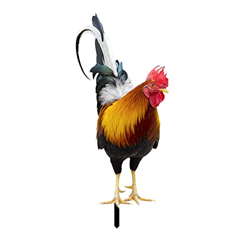 YiGengGo Huhn Gartenstecker Gartendeko Gartenfiguren Deko Handarbeit Henne Gartenstatue Dekorative Tiere Figuren Harz Statue Bauernhof Terrasse Balkon Blumentopf (A-C-1PC, One Size) von YiGengGo