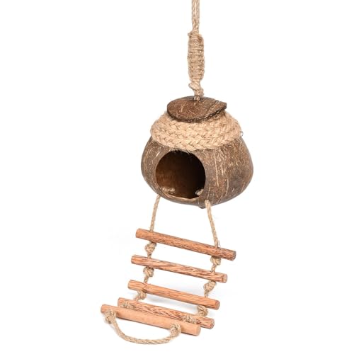 YiQinzcxg Delicate Bird House Kokosnüsse Muschel Haustier Eichhörnchen Spielzeug Freien Nest Für Vögel In Garten Oder Balkonen YiQinzcxg Delicate Bird House Kokosnüsse Muschel Haustier Eichhörnchen Spielzeug Freien Nest Für Vögel In Garten Oder Balkonen von YiQinzcxg