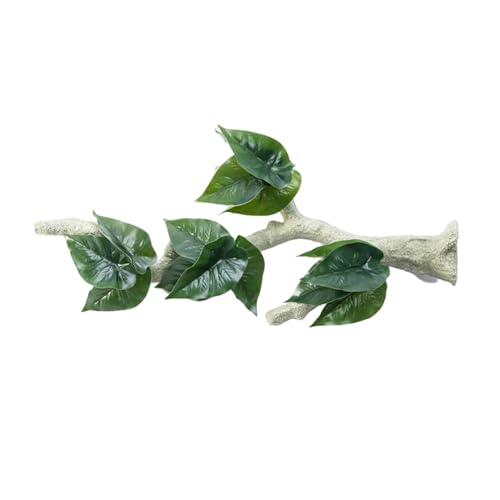 YiQinzcxg Reptilien Vine Saugnäpfe Aquarien Dekoration Wie Klettern Weinrebe Für Eidechsen Flexibler Dschungel Rattan YiQinzcxg Reptilien Vine Saugnäpfe Aquarien Dekoration Wie Klettern Weinrebe Für Eidechsen Flexibler Dschungel Rattan von YiQinzcxg