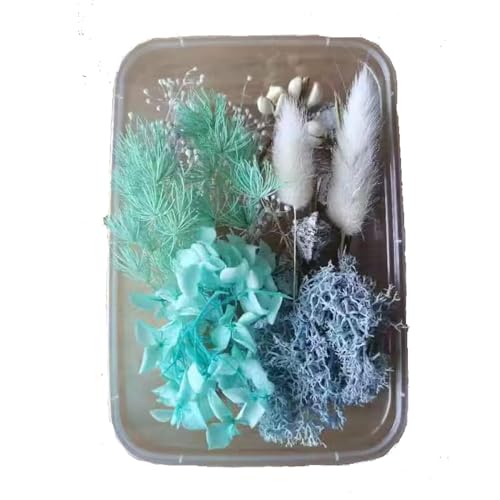 YiYFiT Natürliche getrocknete Blumen,8 Arten echte getrocknete Blumen Blätter DIY Handwerk Sträuße Materialien getrocknete Blumendekorationen für Harz Handwerk Kerze Machen Karte (blau mit Box) von YiYFiT