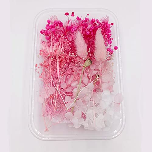 YiYFiT Natürliche getrocknete Blumen,8 Arten echte getrocknete Blumen Blätter DIY Handwerk Sträuße Materialien getrocknete Blumendekorationen für Harz Handwerk Kerze Machen Karte (rosa mit Box) von YiYFiT