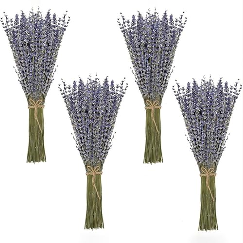 Lavendel getrocknet Bund 100Stängel 42 cm lang Lavendelblüten aus der Provence Lavendelbund Trockenblumen Trockenblumenstrauß von YiYaO