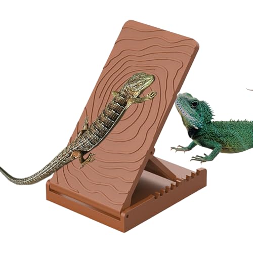 Yianyal Reptilien Kletterrampe,Kletterschiefer für Echsen Reptilienhabitat - rutschfeste Ruheplattform Für Echsen Chamäleons Frösche Molche Geckos von Yianyal