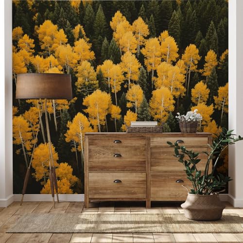 Yidbhsse Wald Botanisch Fototapete 3d, Baum Pflanzen Tapete 150 x 200 cm, Herbst Kiefer Vliestapete Schlafzimmer, Wandtapete Kinderzimmer Motivtapeten Wandfolie Wohnzimmer Wand Dekoration von Yidbhsse
