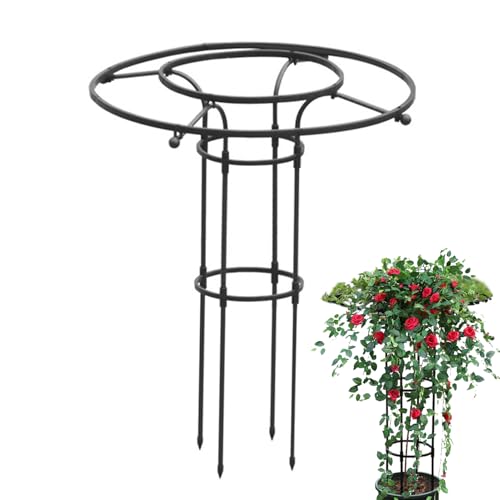Yidueace Garten Rankgitter Für Kletterpflanzen - Vertikale Metall-Blumenstütze | Metall Rankhilfe Mit Säulenform Für Blumen, Zimmerpflanzen & Rankgewächse von Yidueace