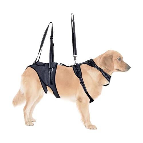 Yidueace Hund Hebegeschirr,Mobilitätshilfegeschirr für Hunde mit Griffhalterung | Verstellbare Tragehilfe & Stützkorsett für Rehabilitationstraining, Erholung und ältere Hunde mit eingeschränkter Yidueace Hund Hebegeschirr,Mobilitätshilfegeschirr für Hunde mit Griffhalterung | Verstellbare Tragehilfe & Stützkorsett für Rehabilitationstraining, Erholung und ältere Hunde mit eingeschränkter von Yidueace
