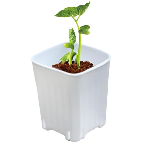 Yidueace Pflanzentöpfe,Atmungsaktiver Bonsai Pflanztopf | 10 Stück kleine Stecklinge für drinnen und draußen in Wohnung Haus Garten Yidueace Pflanzentöpfe,Atmungsaktiver Bonsai Pflanztopf | 10 Stück kleine Stecklinge für drinnen und draußen in Wohnung Haus Garten von Yidueace