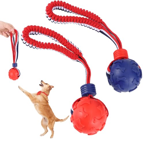 YiliYa Hundeball auf einem Seil, 2 Stück Ø 7cm Interaktiver Naturkautschuk Ball Hund zum Apportieren, Fangen, Werfen und Ziehen des Krieges, 30cm (Blau + Rot) YiliYa Hundeball auf einem Seil, 2 Stück Ø 7cm Interaktiver Naturkautschuk Ball Hund zum Apportieren, Fangen, Werfen und Ziehen des Krieges, 30cm (Blau + Rot) von YiliYa