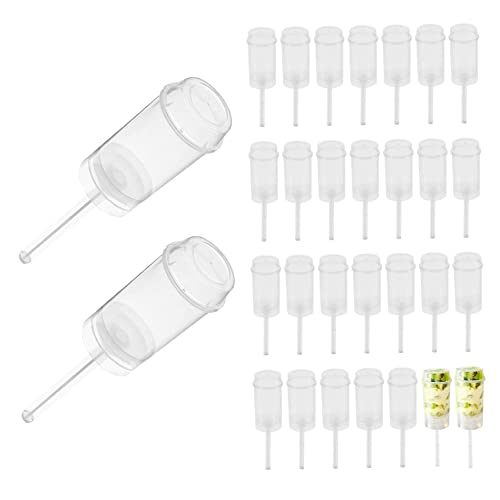 Push Up Kuchen Shooter, runde Form, transparente Kuchenhalter, Push Pops Behälter für Eiscreme Dessert, 30 Stück von Yililay