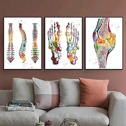 Yimesoy Menschliche Anatomie Muskeln System Bunte Wandkunst Leinwand Malerei Poster Und Drucke Körperkarte Wandbilder Medizinische Wohnkultur 16"X24"X3Panels von Yimesoy