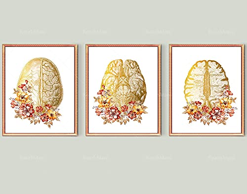Yimesoy Neurologie Art Gold Anatomisches Gehirn Und Blumen Poster Detaillierte Gehirn Anatomie Art Medical Decor Neurologe Geschenk Psychologe Leinwand Gemälde 20"X28"X3Panels von Yimesoy