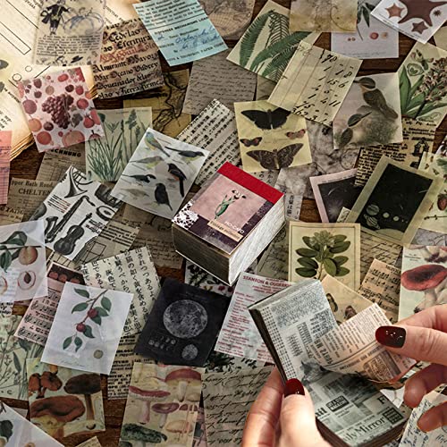 366 Vintage Scrapbooking Papier 40X50mm Vintage Scrapbooking Halbtransparentem Designpapier Papier DIY Set für Kartenherstellung Notizbücher Geschenkboxen von Yimorex