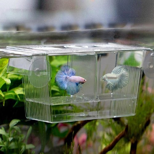 Yinong S/M Ablaichkasten aus Fischzucht Isolation Box (20 x 10 x 10cm) von GRTLPOK