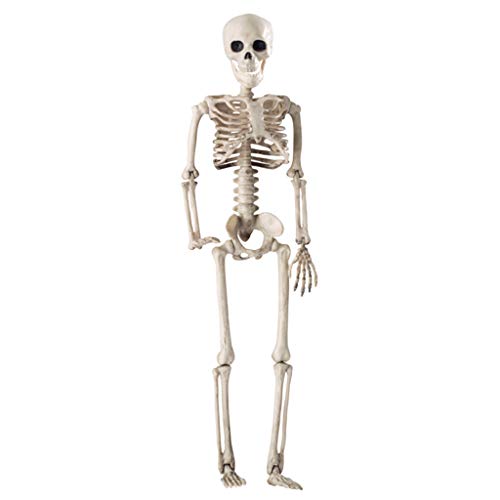 Yinuneronsty Anatomisches Modell, Dekoration, Skelett, Totenkopf, Halloween, realistisch, 36 cm von Yinuneronsty
