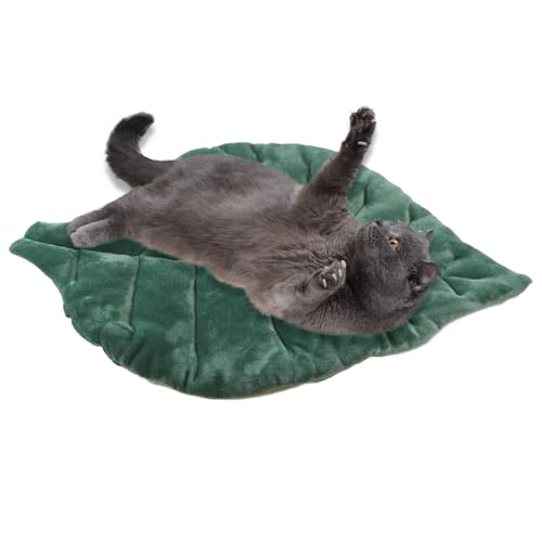 Yiohejy Flaches Katzenbett | Katzenschlafplatz Weiche Katzenmatte | Waschbare rutschfeste Schlafunterlage Für Welpen Kleine Hunde | Boden Transportbox Couch Auto Reise Camping von Yiohejy