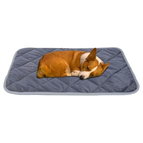 Yiohejy Hundebett Unterlage | Katzen Schlafplatz Wärmeunterlage | Waschbare Schlafkissen Für Kälteisolierung | Haustier Ruhebereich Für Käfig Auto Indoor Yiohejy Hundebett Unterlage | Katzen Schlafplatz Wärmeunterlage | Waschbare Schlafkissen Für Kälteisolierung | Haustier Ruhebereich Für Käfig Auto Indoor von Yiohejy