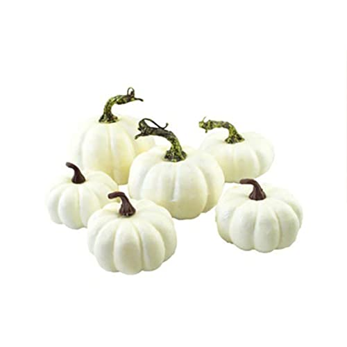 Yissma 6 weiße-Deko-Kürbisse Halloween | Speisekürbisse | Zierkürbisse- Dekokürbisse für Halloweendeko und Herbstdeko - Speisekürbis von Yissma