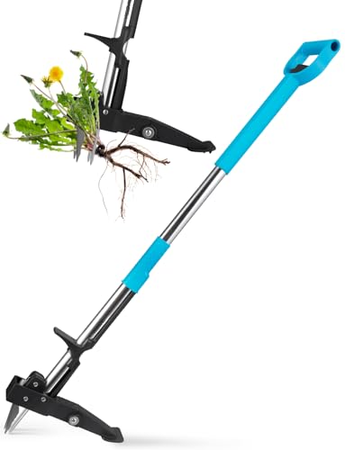 Yissvic Unkrautstecher mit Stiel Teleskop Länge 100 CM-120 cm Hochfester Edelstahl 4 Krallen Unkrautentferner Blau Yissvic Unkrautstecher mit Stiel Teleskop Länge 100 CM-120 cm Hochfester Edelstahl 4 Krallen Unkrautentferner Blau von Yissvic