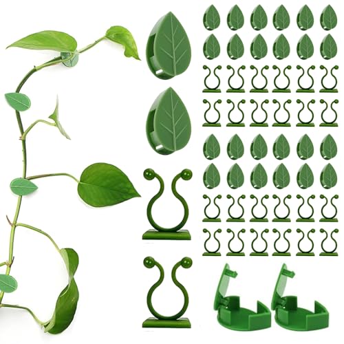 Yitobici pflanzenhalter,pflanzenclips Wand,Pflanzen wandhalterung,Pflanzen rankhilfe,60 Stück Pflanzenhalter Wand,kletterpflanzen Befestigung Wand für Kletterpflanzen Wand Heimdekoration von Yitobici