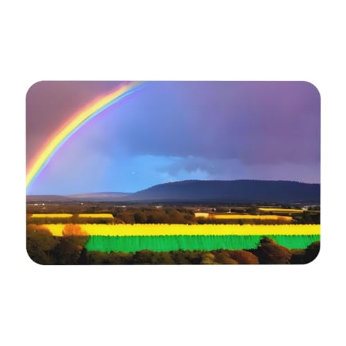 Yizhiyz Abend-Regenbogen-Kieselgur-Matte, 50 x 80 cm, saugfähig, schnell trocknend, verschleißfest, geeignet für Bad und Küche. von Yizhiyz