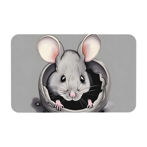 Yizhiyz Graue Ratte Kieselgur Matte 50 x 80 cm, saugfähig, schnell trocknend, verschleißfest, geeignet für Bad und Küche. von Yizhiyz