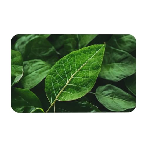Yizhiyz Green Leaf Nature Kieselgur Matte 50 x 80 cm, saugfähig, schnell trocknend, verschleißfest, geeignet für Bad und Küche. Yizhiyz Green Leaf Nature Kieselgur Matte 50 x 80 cm, saugfähig, schnell trocknend, verschleißfest, geeignet für Bad und Küche. von Yizhiyz