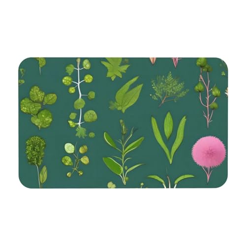 Yizhiyz Kieselgur für Blumen und Pflanzen, 50 x 80 cm, saugfähig, schnell trocknend, verschleißfest, geeignet für Bad und Küche. Yizhiyz Kieselgur für Blumen und Pflanzen, 50 x 80 cm, saugfähig, schnell trocknend, verschleißfest, geeignet für Bad und Küche. von Yizhiyz