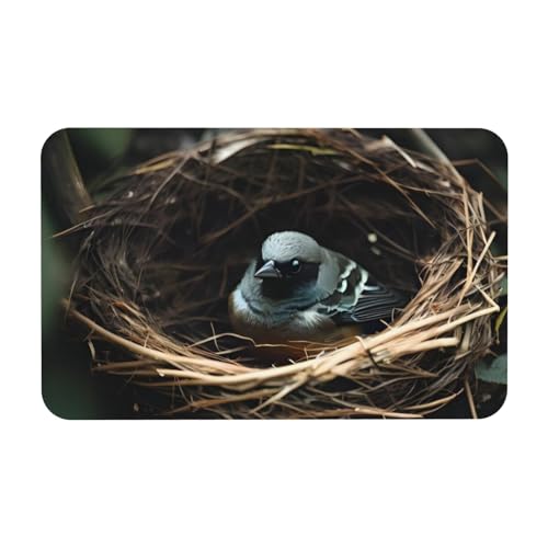 Yizhiyz Little Bird Nest Kieselgur Matte 50 x 80 cm, saugfähig, schnell trocknend, verschleißfest, geeignet für Bad und Küche. Yizhiyz Little Bird Nest Kieselgur Matte 50 x 80 cm, saugfähig, schnell trocknend, verschleißfest, geeignet für Bad und Küche. von Yizhiyz