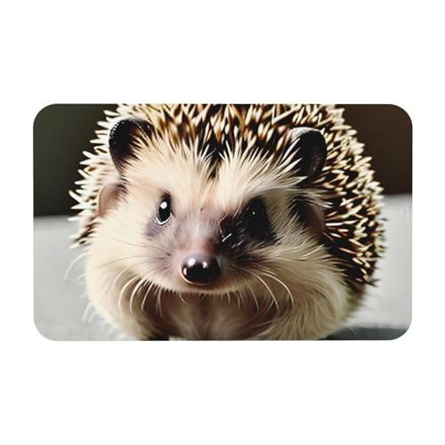 Yizhiyz Niedliche Igel-Kieselgur-Matte, 50 x 80 cm, saugfähig, schnell trocknend, verschleißfest, geeignet für Bad und Küche. Yizhiyz Niedliche Igel-Kieselgur-Matte, 50 x 80 cm, saugfähig, schnell trocknend, verschleißfest, geeignet für Bad und Küche. von Yizhiyz